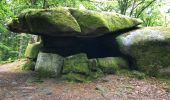 Tocht Stappen Gouloux - Croix Grenot Dolmen Chevresse - Photo 3