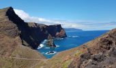 Trail Walking Caniçal - Madère : la presqu'île de Sao Lourenço - Photo 9