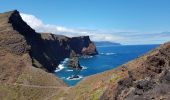 Tour Wandern Caniçal - Madère : la presqu'île de Sao Lourenço - Photo 9