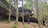 Tour Wandern Raon-sur-Plaine - suuntoapp-Hiking-2025-07-14T08-58-29Z - Photo 5