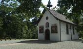 Tour Wandern Sentheim - Par la forêt et le fil de l'eau - Photo 11