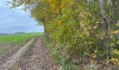 Tocht Stappen Brunehaut - Hollain 16,2 km - Photo 6