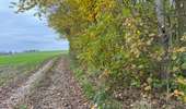 Trail Walking Brunehaut - Hollain 16,2 km - Photo 6