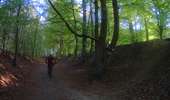 Trail Mountain bike Braine-le-Comte - ronquiéres 50 - Photo 12