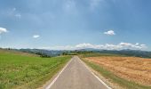 Randonnée A pied Canossa - Vedriano - La Strada - M. Staffola - Braglie - Costa - Photo 3