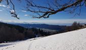 Randonnée Marche Autrans-Méaudre en Vercors - La Sure par Plénouse  - Photo 1