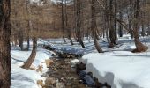 Randonnée Raquettes à neige Entraunes - la boucharde - Photo 4