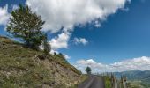 Percorso A piedi Ventasso - Cervarezza - Lago Calamone - Passo di Pratizzano - Passo della Scalucchia - Buca del Moro - Monte Casarola - Alpe di Succiso - Photo 1