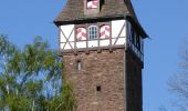 Excursión A pie Stadtoldendorf - ST2 Durchs Fahrenbachtal zum Klostergut - Photo 9