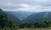 Tocht Stappen Sewen - Circuit lac d'alfeld / ballon d'Alsace  - Photo 2