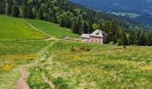 Trail Walking Sondernach - Rando les Copains d'abord.. 19/05/2022 - Photo 3