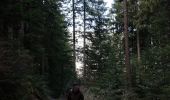 Tocht Stappen Autrans-Méaudre en Vercors - Le bois du Claret - Photo 4