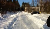 Randonnée A pied Bischbrunn - Schwarzer Fuchs, Rundwanderweg Weihersgrund am Sylvan - Photo 6