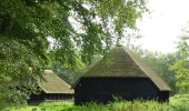 Tocht Te voet Putten - Oldenallerpad - Photo 5