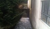 Tocht Stappen Chevreuse - Chevreuse sans le chateau de la MADELEINE - Photo 1