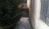 Randonnée Marche Chevreuse - Chevreuse sans le chateau de la MADELEINE - Photo 1