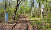 Trail Walking Rochefort - Belvaux 280423 - Photo 4