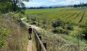 Tour Wandern Susmiou - GR 65 Navarrenx > Lichos - Photo 3