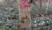 Trail Walking Grez-Doiceau - grez Beaumont 30 janvier 2020 arbre bio - Photo 8