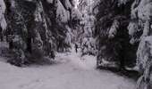 Tour Wandern Jalhay - Solwaster-Statte-Hoegne - Photo 6