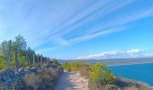 Randonnée Marche Leucate - leucate - cap des frères (sentier des bergers) -la franqui (sentier des guetteurs) - leucate (se tier des vignerons) - Photo 14