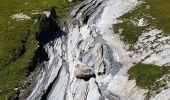 Tour Wandern Bourg-Saint-Maurice - le lac de Mya, le col des Fours et la tête  sud des Fours - Photo 5