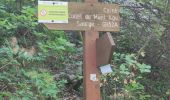 Trail Walking Saorge - Balisage( intervention) GR52A Breil -b. 154 à 108 (GIGR) 11-08-2023 - Photo 7