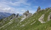 Trail Walking Pralognan-la-Vanoise - Pralognan - Col et pointe de leschaux - 17/07/19 - Photo 11