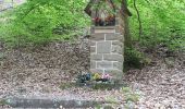 Tour Wandern Oberhaslach - Oberhaslach - Photo 1