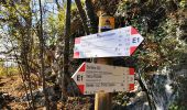 Tour Zu Fuß Väris - Sentiero 7/307: Campo dei Fiori - Punta di Mezzo - Photo 1