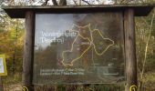 Trail On foot Trendelburg - Grenzland-Rundweg 1 - Photo 4