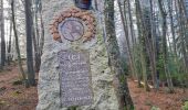 Trail Walking Zimmerbach - Rando Trail Walking Zimmerbach - Rando