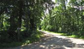 Randonnée Marche Rethondes - en forêt de Laigue_6_12_2019_Route Forestière des Princesses_Route et Chemin de Briançon - Photo 16