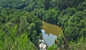 Tour Wandern Bauschleiden - 2023-06-19_14h57m44_eislek-pad-boulaide-1 - Photo 1