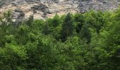 Randonnée Marche Montriond - Lac de Montrillon  sous la pluie - Photo 9