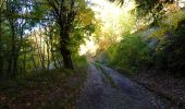 Randonnée Marche Saou - Tour de la Forêt de Saoû - Photo 11