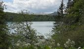 Trail Walking Besse-et-Saint-Anastaise - Tour du Lac Pavin - Photo 9