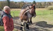 Trail Walking Zonhoven - limbourg  - Photo 4