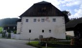 Tour Zu Fuß St. Lorenzen - Rundweg Klosterwald - Photo 2