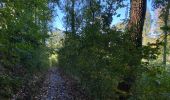 Tocht Stappen Kluisbergen - Kluisbergen mont de l’Enclus 16 km - Photo 2