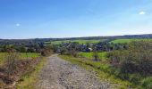 Tocht Stappen Beauraing - Balade de Wiesme à Finnevaux - Photo 7