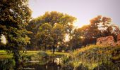 Tour Zu Fuß Lanaken - Pietersheim Blauwe ruit - Photo 8