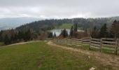 Tocht Stappen Métabief - Meta bief lac Morond - Photo 1