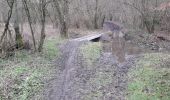 Trail Walking Fosses-la-Ville - Bambois 050121 - Photo 4