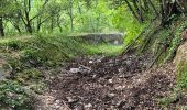 Tocht Stappen Saint-Cézaire-sur-Siagne - Le canal et la rivière de la Siagne  - Photo 16