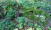 Tour Zu Fuß Mudau - Rundwanderweg Reisenbacher Grund 2 - Photo 10