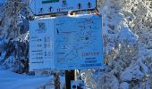 Trail Cross-country skiing Thélis-la-Combe - ski alternatif - Photo 5