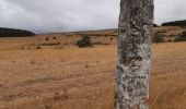 Excursión Senderismo Hures-la-Parade - GR6 jour 11 Meyrueis - Photo 4