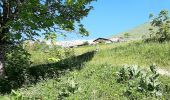 Trail Walking Le Grand-Bornand - BARGY: LE CHINAILLON - LAC DE LESSY - Photo 16