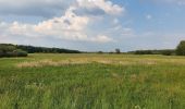 Tocht Te voet Rotenburg - Nordpfad 'Wümmeniederung' - Photo 5